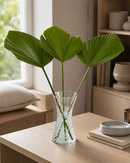 Palmeira Leque em Vaso de Vidro