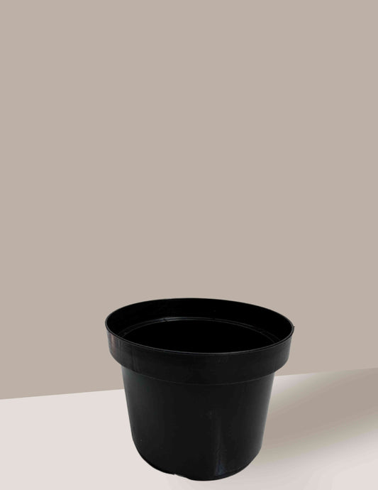 Potinho de Plástico para nossos Vasos