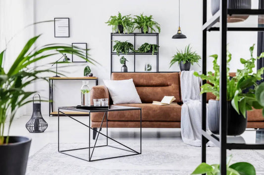 Como trazer o design verde para dentro de sua casa. Nordic Green