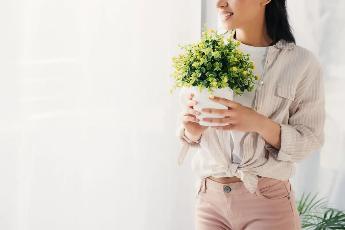 Oferecer plantas é um ato de bondade