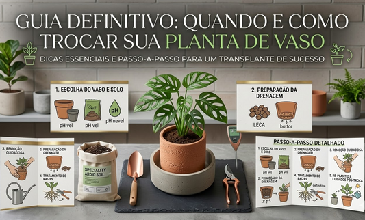 Guia Definitivo: Quando e Como Trocar Sua Planta de Vaso