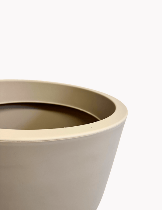 Palmeira Areca Bambu com Vaso Runa