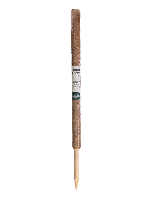 Tutor De Coco 78cm - TOP GARDEN®