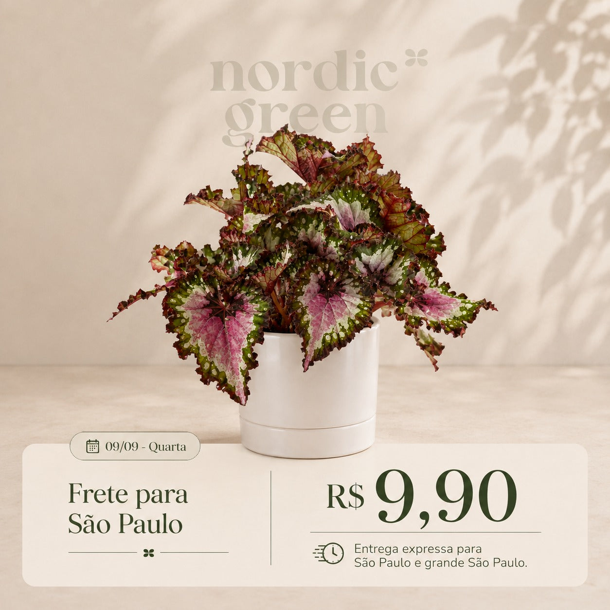 Nordic Green