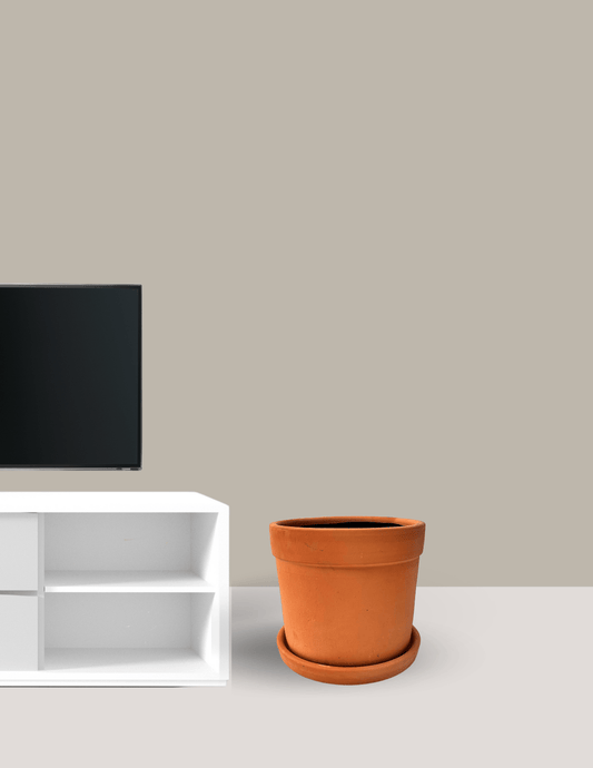 Vaso Liv